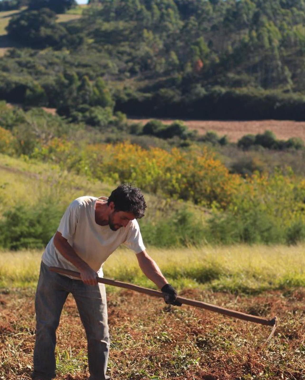 Pessoa trabalhando a terra em uma área rural da serra